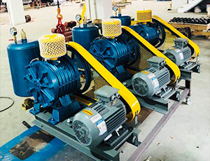 回旋式鼓風(fēng)機(jī)