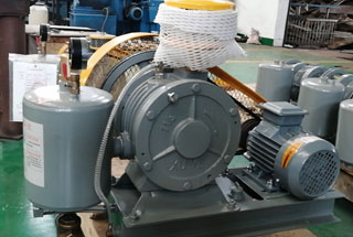 回轉(zhuǎn)式風(fēng)機(jī)